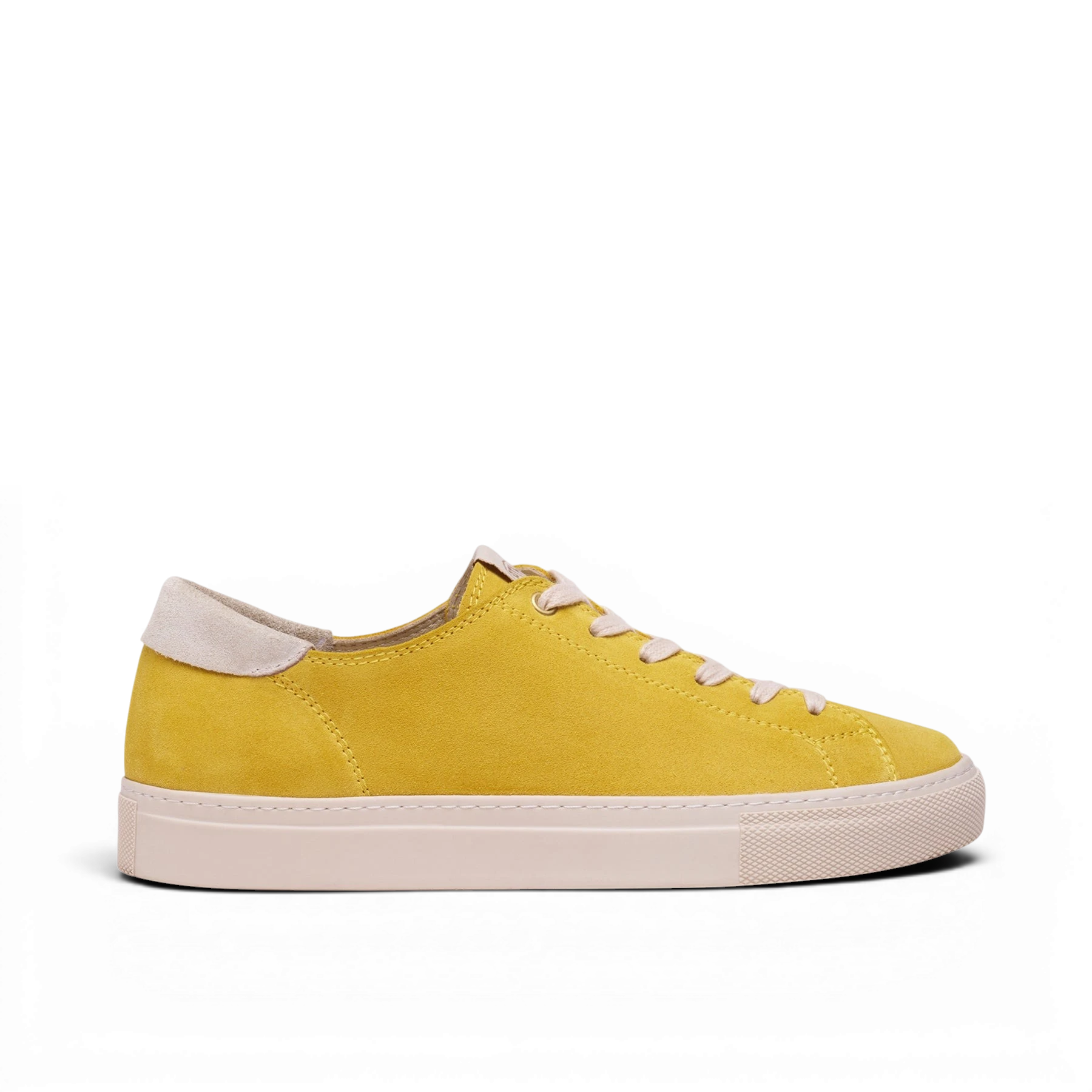CAPITAL - DANDELION YELLOW — 1